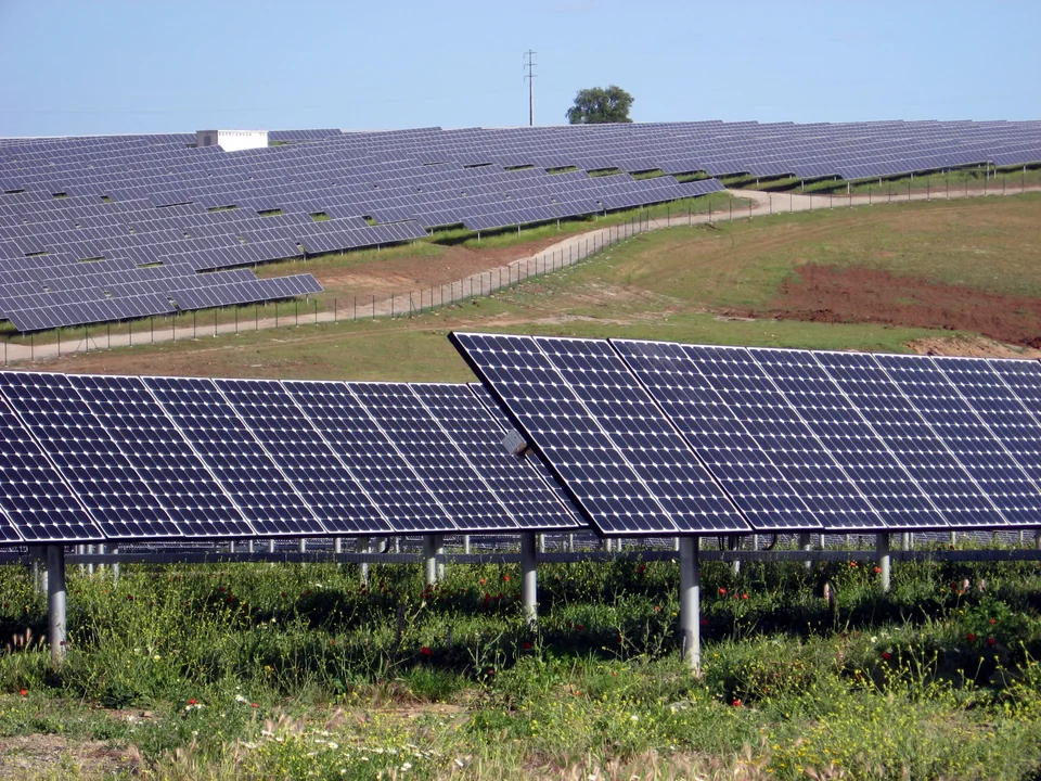 Rows of ground-mounted solar panels extending across a gently sloping field.